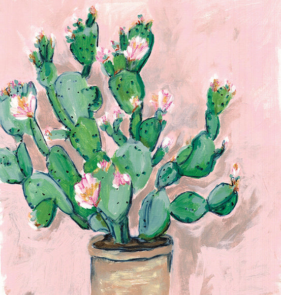 Pink cactus