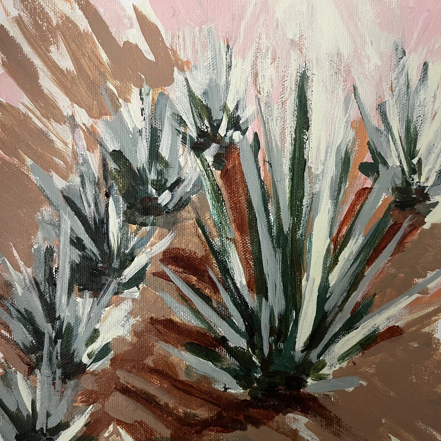 Agave garden