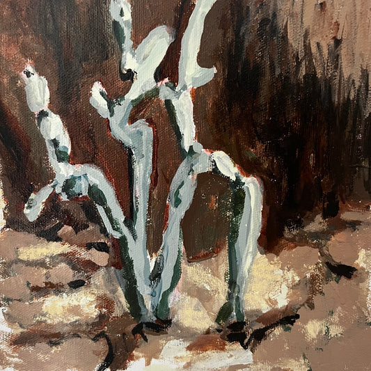 Cabana cactus
