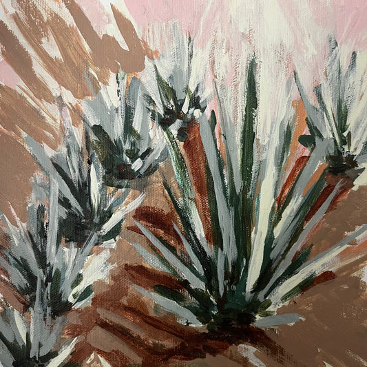 Agave garden